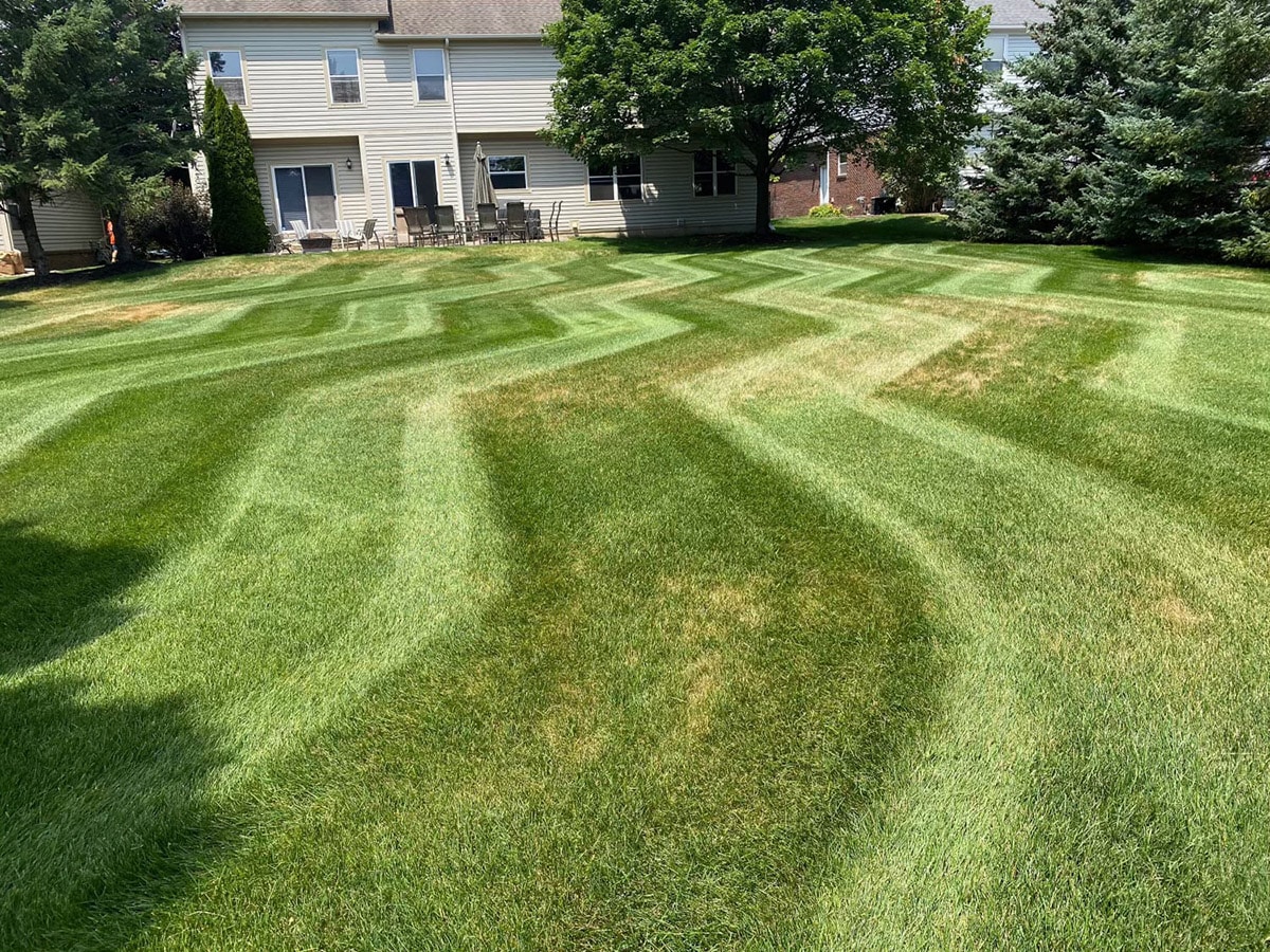 Lawncare mowed yard