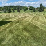 Lawn Care completed mow job