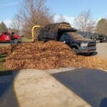 fall clean up process